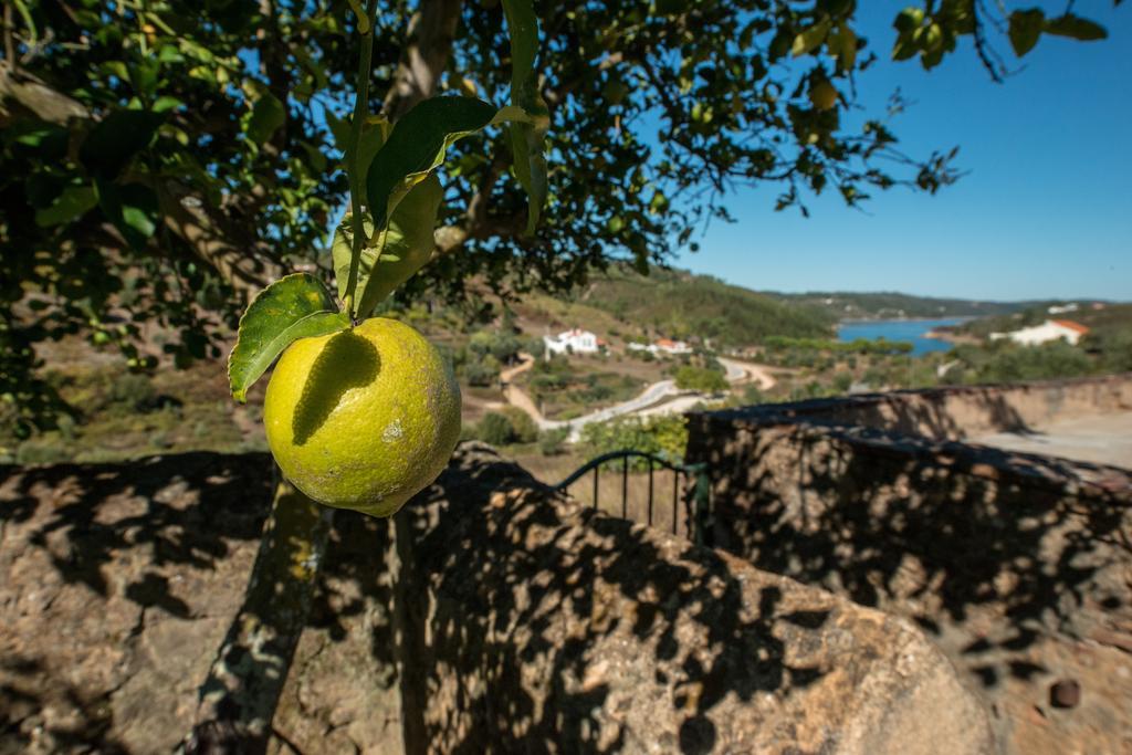 Гостевой дом Quinta Da Eira Velha Aldeia do Mato  Экстерьер фото